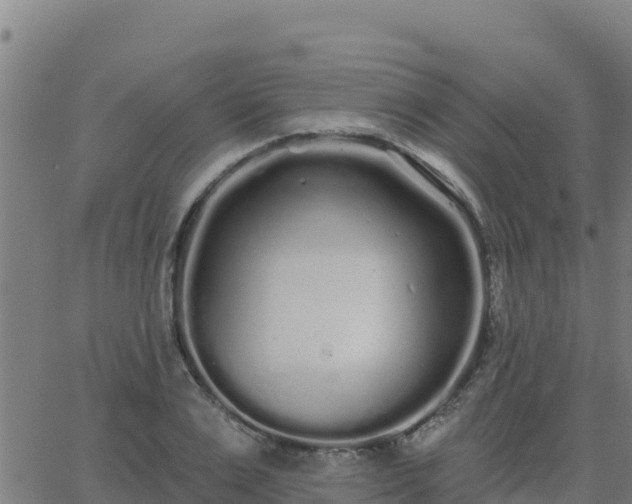 X0000062840983200601201633