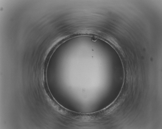 X0000062840984200601201633