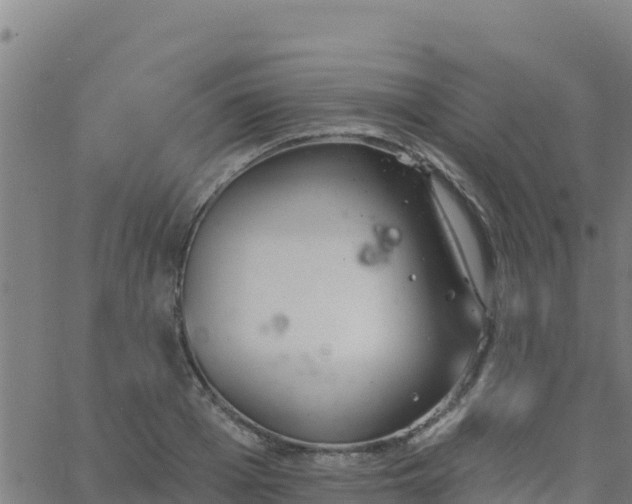 X0000062840985200601201633