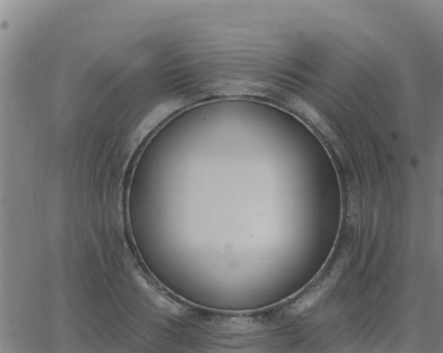 X0000062840986200601201633