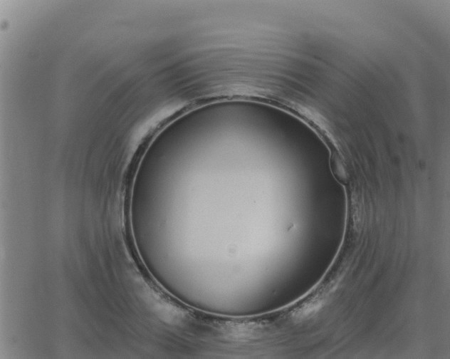 X0000062840987200601201633