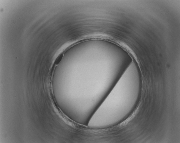 X0000062840989200601201633