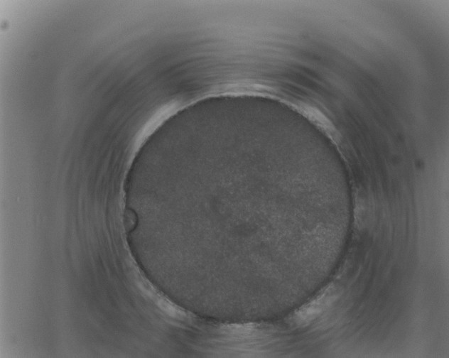 X0000062840990200601201633