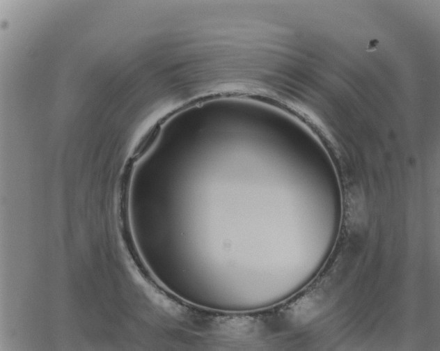 X0000062840991200601201633