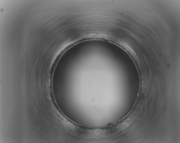 X0000062840992200601201633