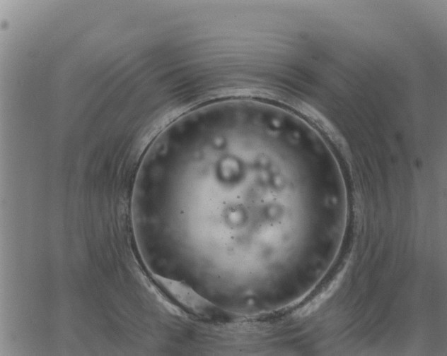 X0000062840993200601201633