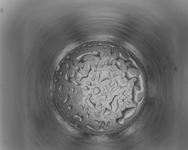 X0000062840994200601201633