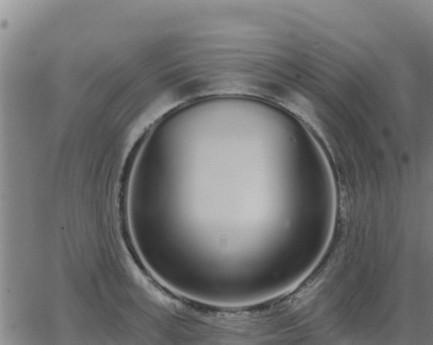 X0000062840995200601201633