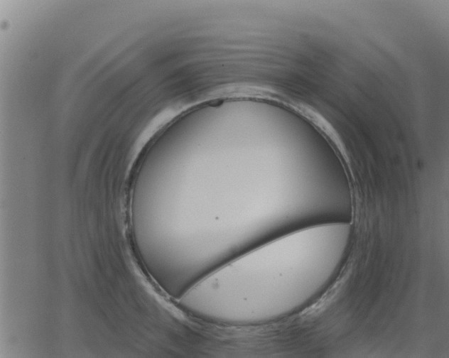 X0000062840997200601201633