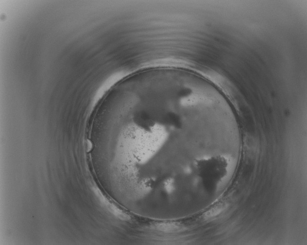 X0000062840998200601201633