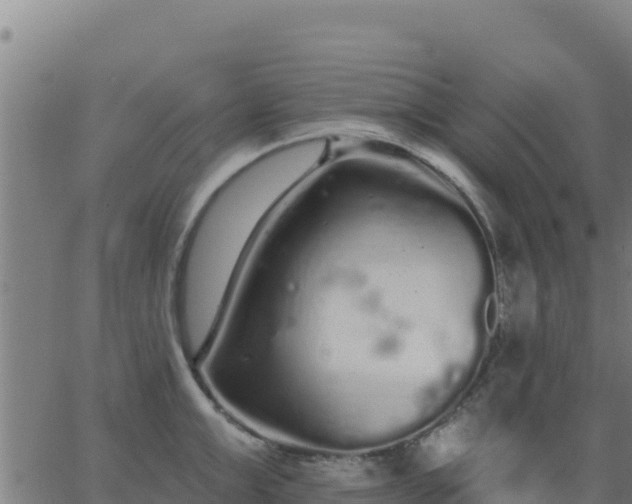 X0000062840999200601201633