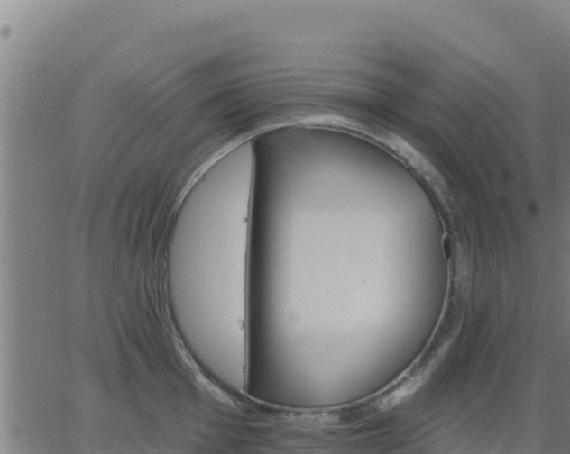 X0000062841001200601201633