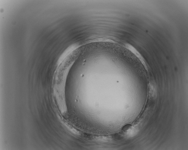 X0000062841002200601201633