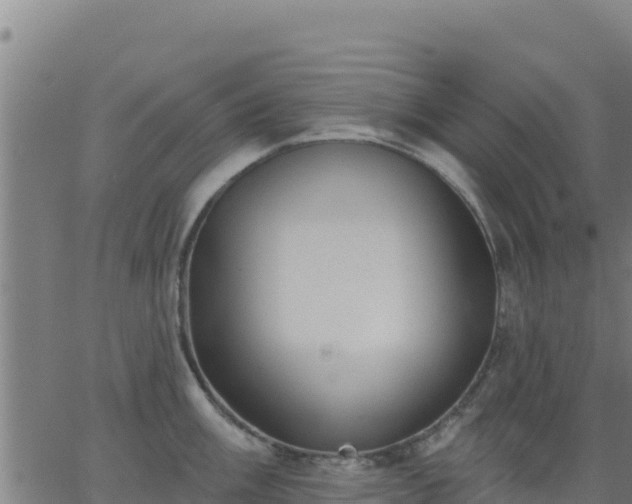 X0000062841003200601201633