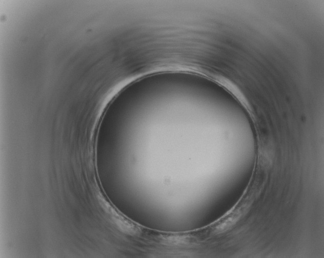 X0000062841004200601201633