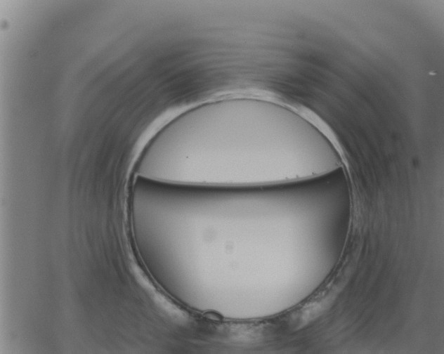 X0000062841005200601201633