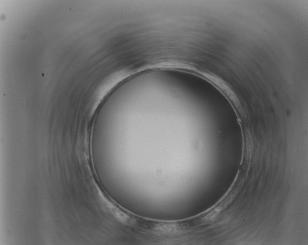 X0000062841006200601201633