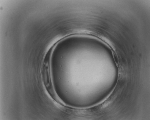 X0000062841007200601201633