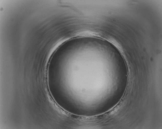 X0000062841008200601201633