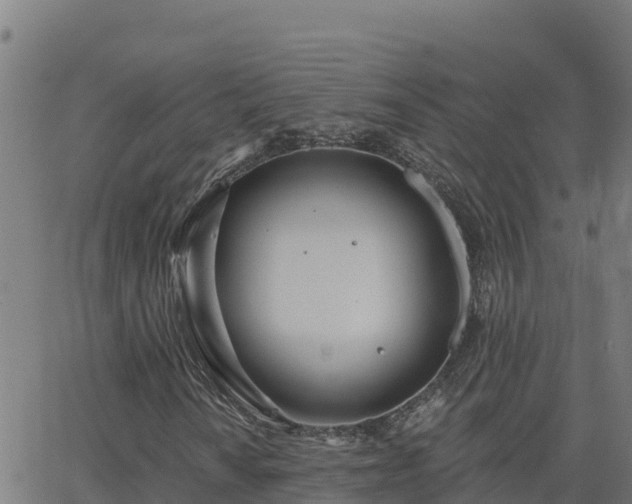 X0000062841010200601201632