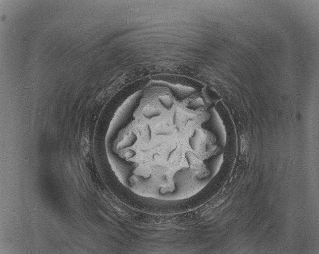 X0000062841011200601201632