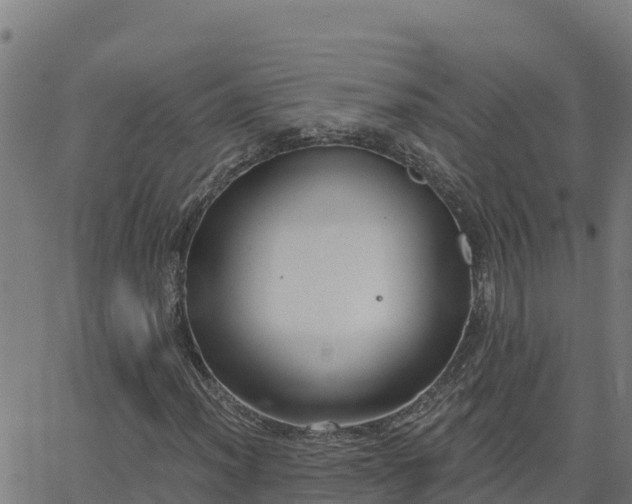 X0000062841012200601201632