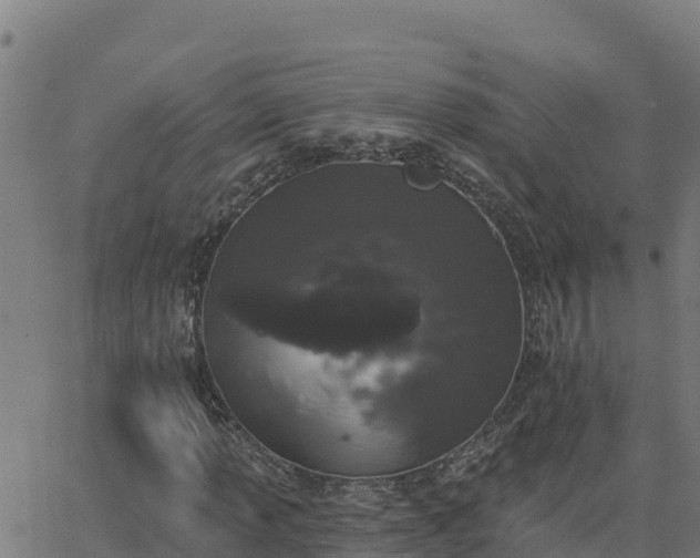 X0000062841013200601201632