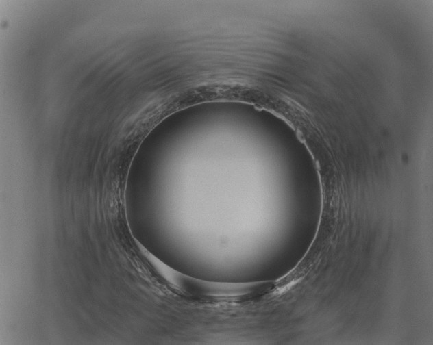 X0000062841014200601201632