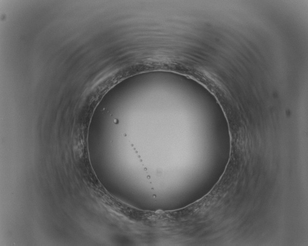 X0000062841015200601201632