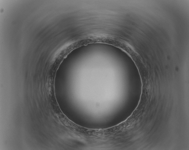 X0000062841016200601201632