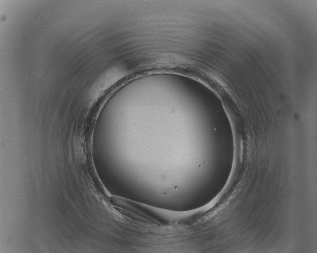 X0000062841018200601201632