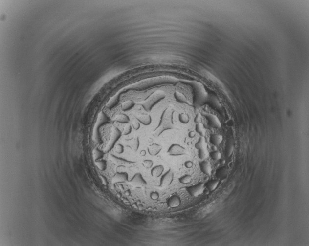 X0000062841019200601201632