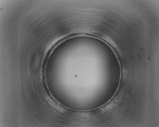 X0000062841020200601201632