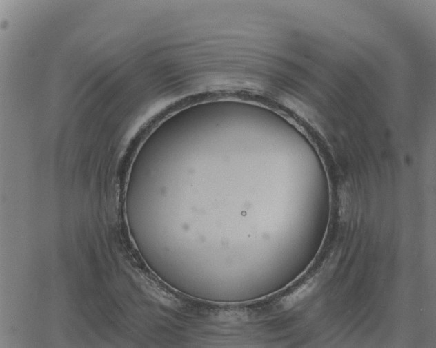 X0000062841021200601201632