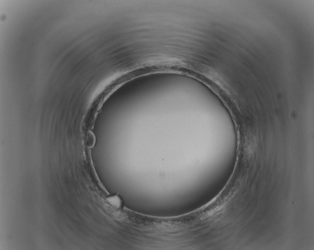 X0000062841022200601201632