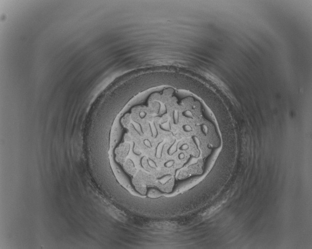 X0000062841023200601201632