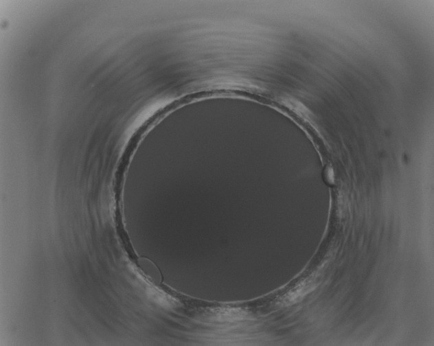 X0000062841024200601201632