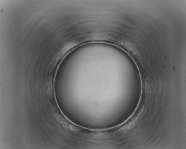 X0000062841025200601201632