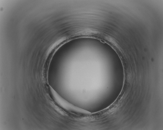 X0000062841026200601201633