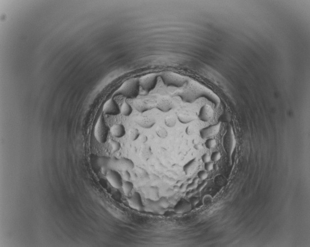 X0000062841027200601201633