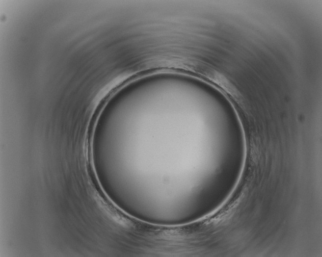 X0000062841028200601201633