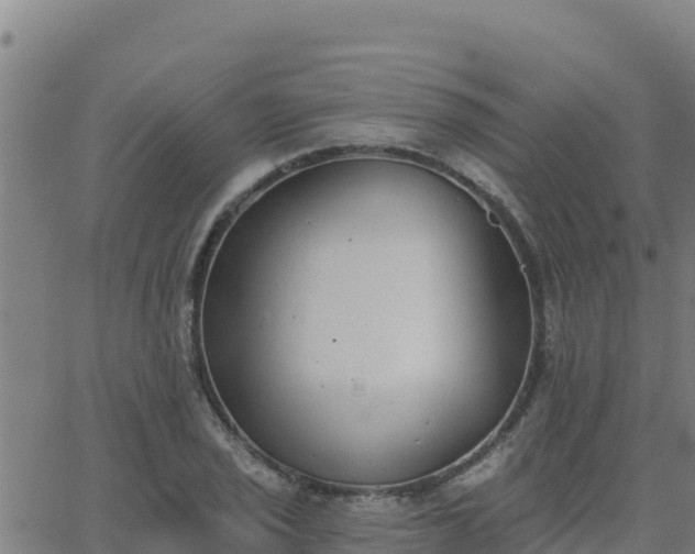 X0000062841029200601201633