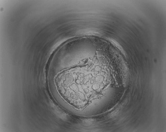 X0000062841031200601201633