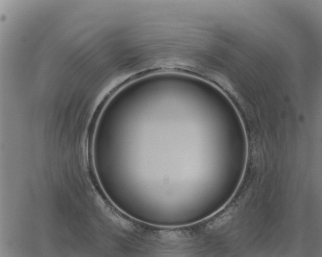 X0000062841032200601201633