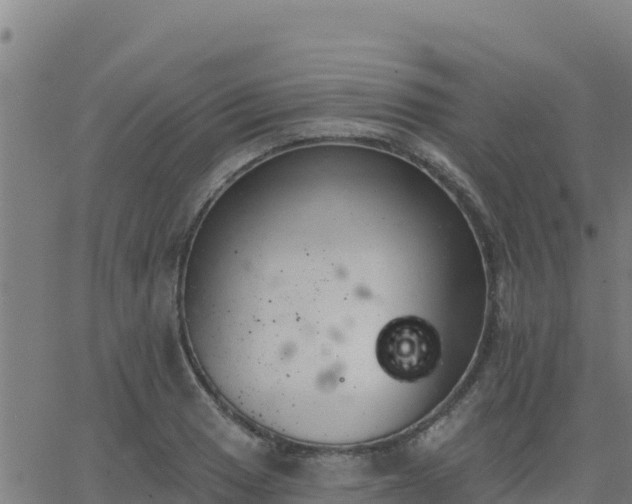 X0000062841033200601201633