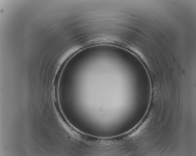 X0000062841034200601201633