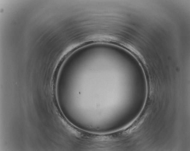 X0000062841037200601201633