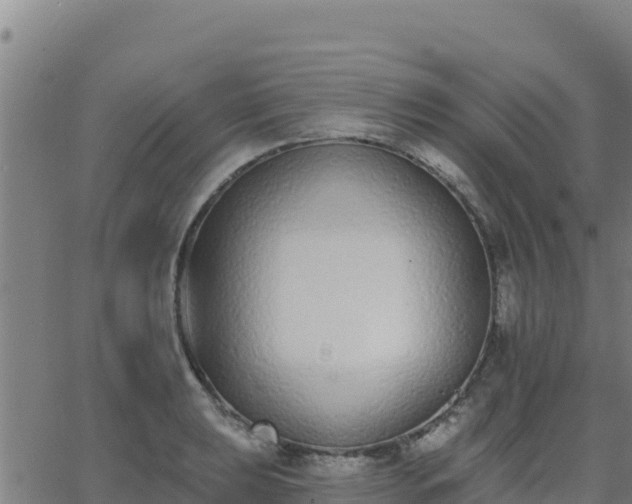 X0000062841039200601201633