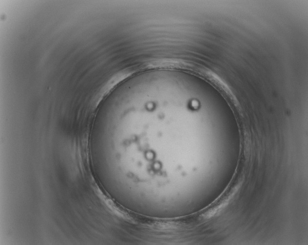 X0000062841041200601201633