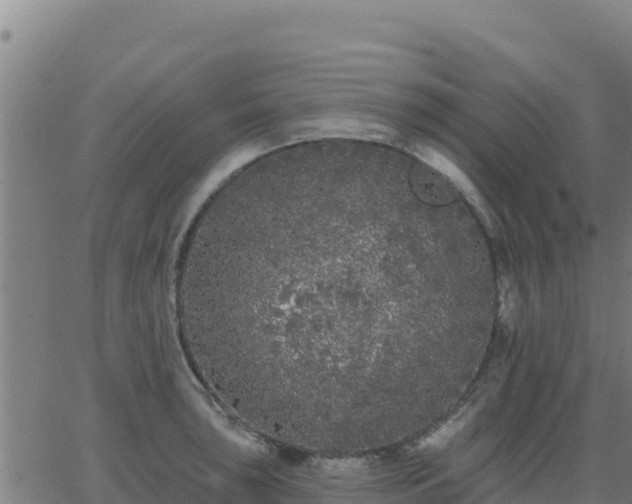 X0000062841043200601201633